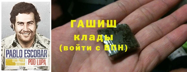 трава Коряжма