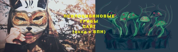 трава Коряжма