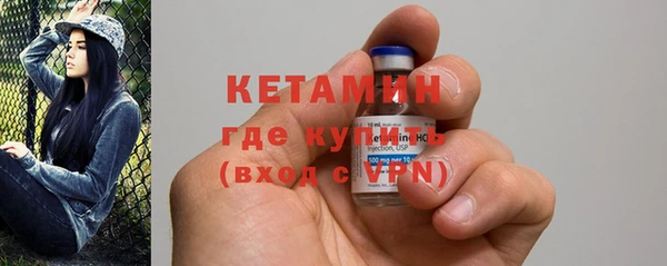 трава Коряжма