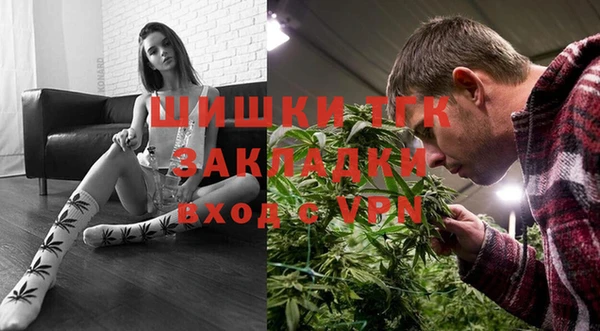 дживик Костерёво