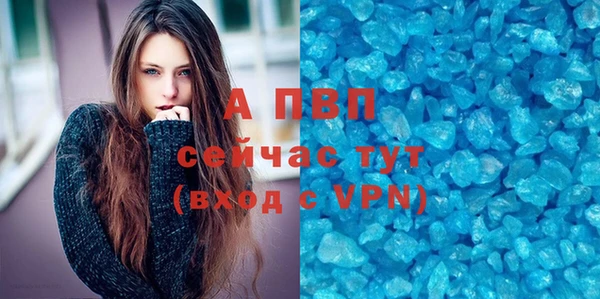 дживик Шали