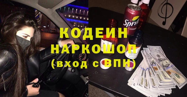 трава Коряжма