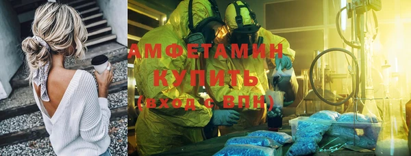 трава Коряжма