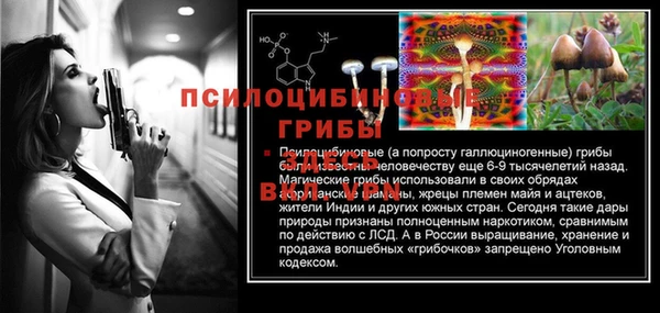 прущие крисы Корсаков