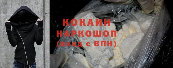 трава Коряжма