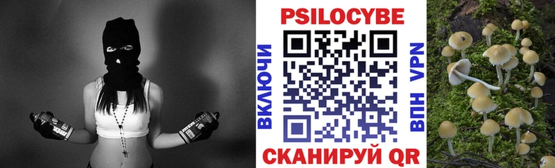 Псилоцибиновые грибы Cubensis  купить наркотик  Елизаветинская 